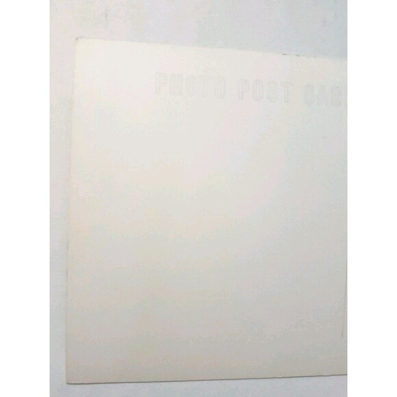 Postcard RPPC Deer Crawford Notch State Park Native N. H. Wildlife Exhibit c1950 - Picture 3 of 6